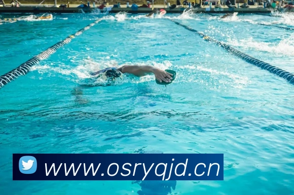 kaiyun官方网站服务体系